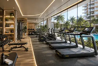 Gymnasium